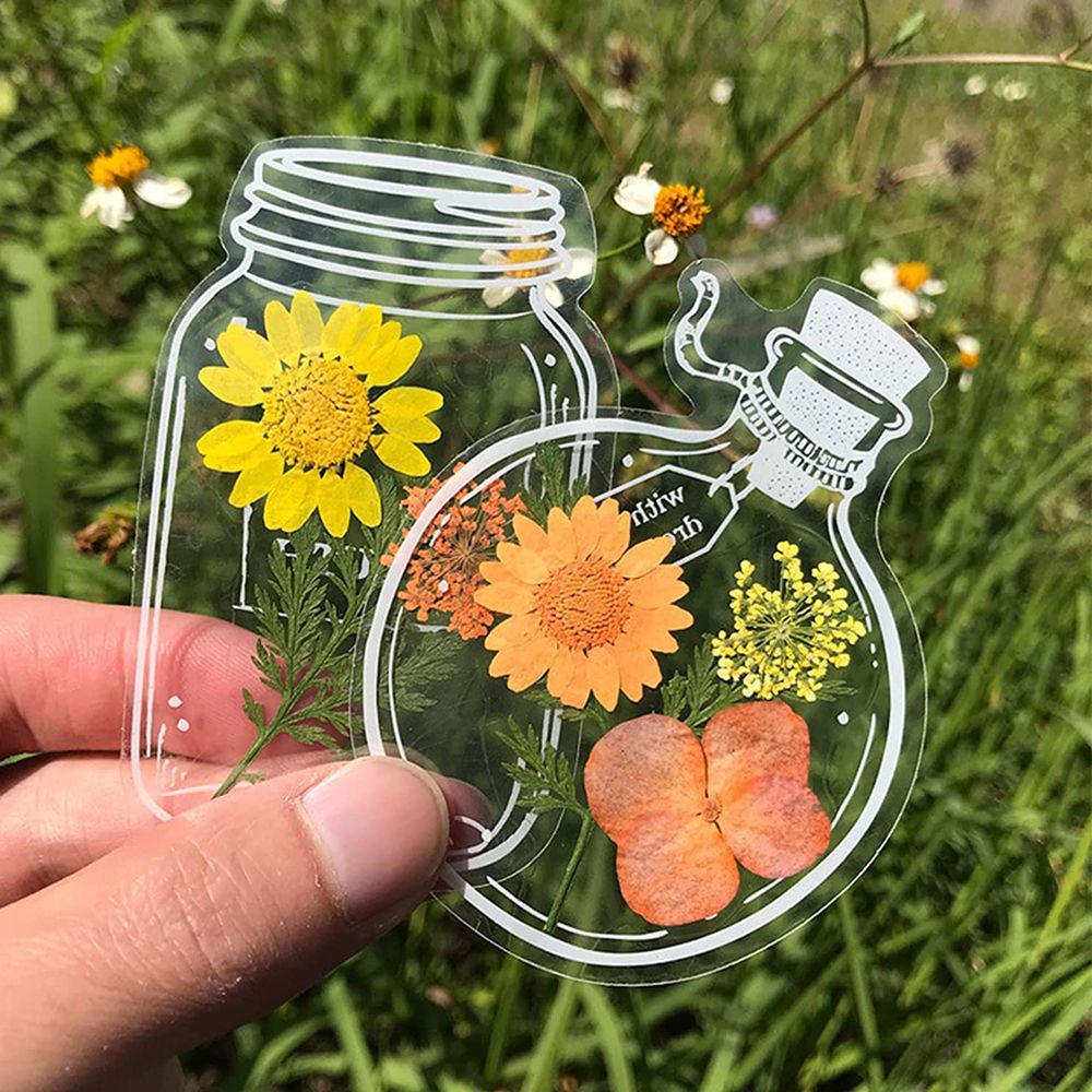 30Pcs DIY Transparent Dried Fl - Dried Flower Bookmark avaliação e preço