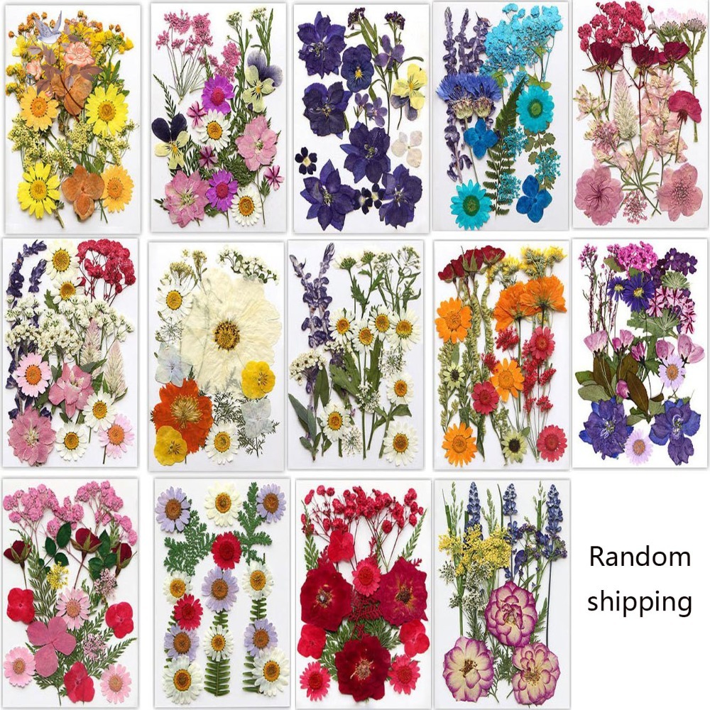 Handmade Pressed Dried Flowers - Dried Flower Bookmark avaliação e preço