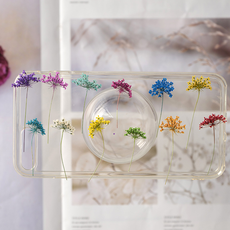 48Pcs Vibrant Colored Small Sn - Dried Flower Bookmark avaliação e preço