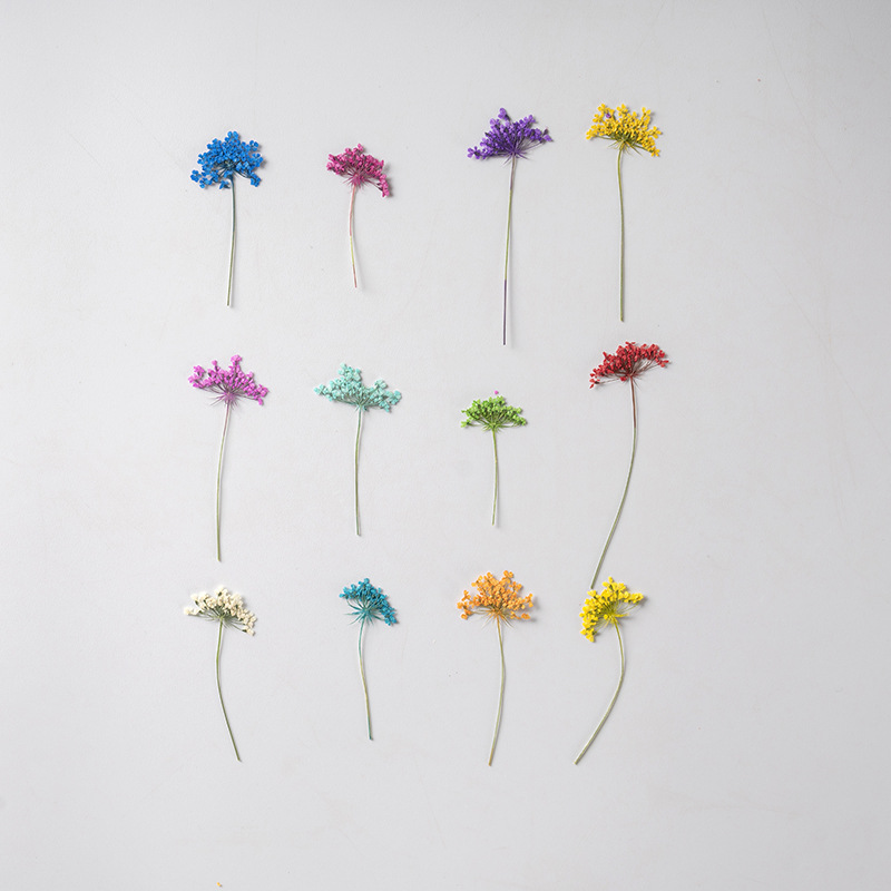 48Pcs Vibrant Colored Small Sn - Dried Flower Bookmark avaliação e preço