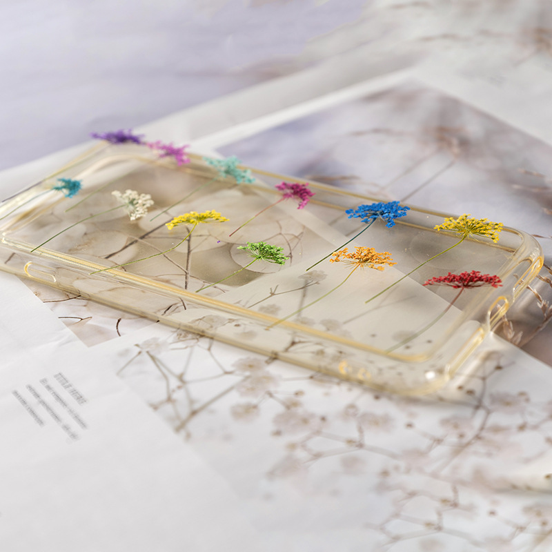 48Pcs Vibrant Colored Small Sn - Dried Flower Bookmark avaliação e preço