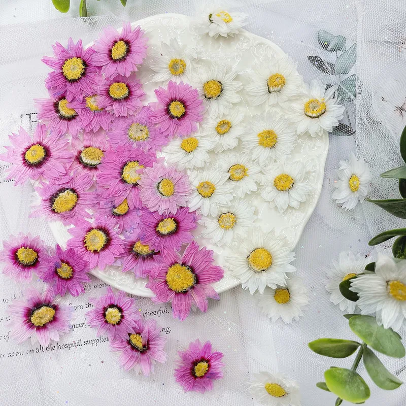 24pcs/2-4CM,Natural Pressed Fl - Dried Flower Bookmark avaliação e preço