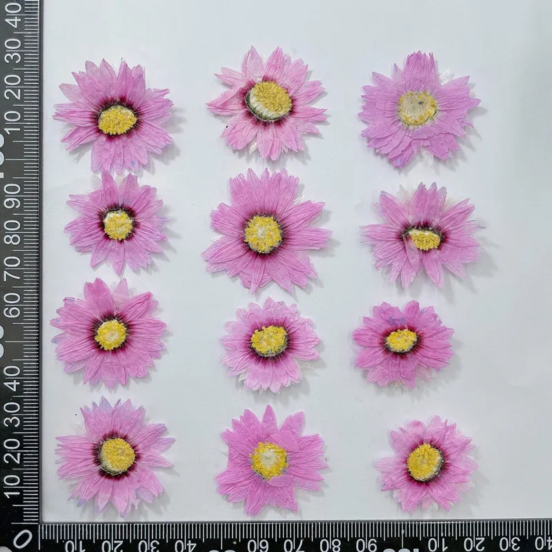 24pcs/2-4CM,Natural Pressed Fl - Dried Flower Bookmark avaliação e preço