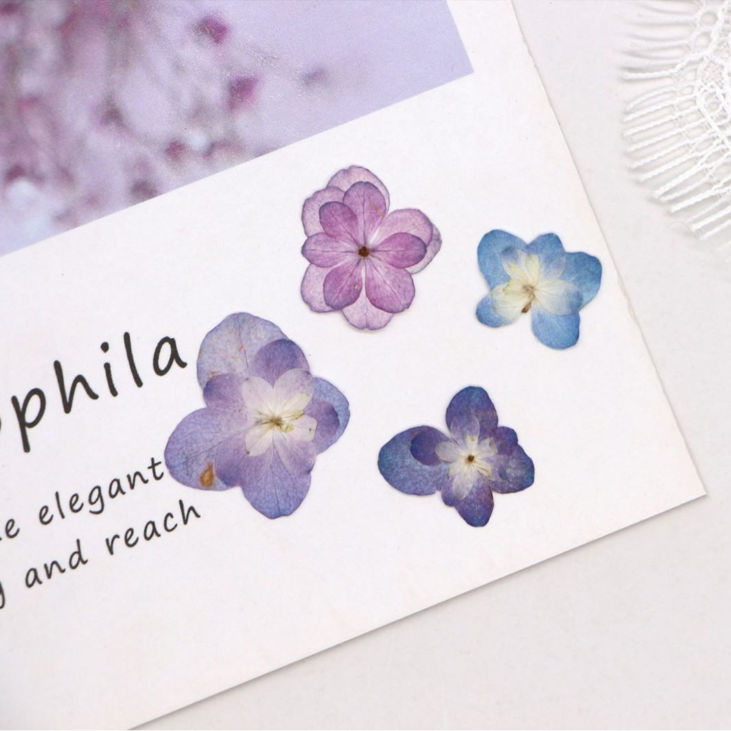 60Pcs Mini Double-Flowered Hyd - Dried Flower Bookmark avaliação e preço